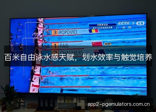 百米自由泳水感天赋，划水效率与触觉培养